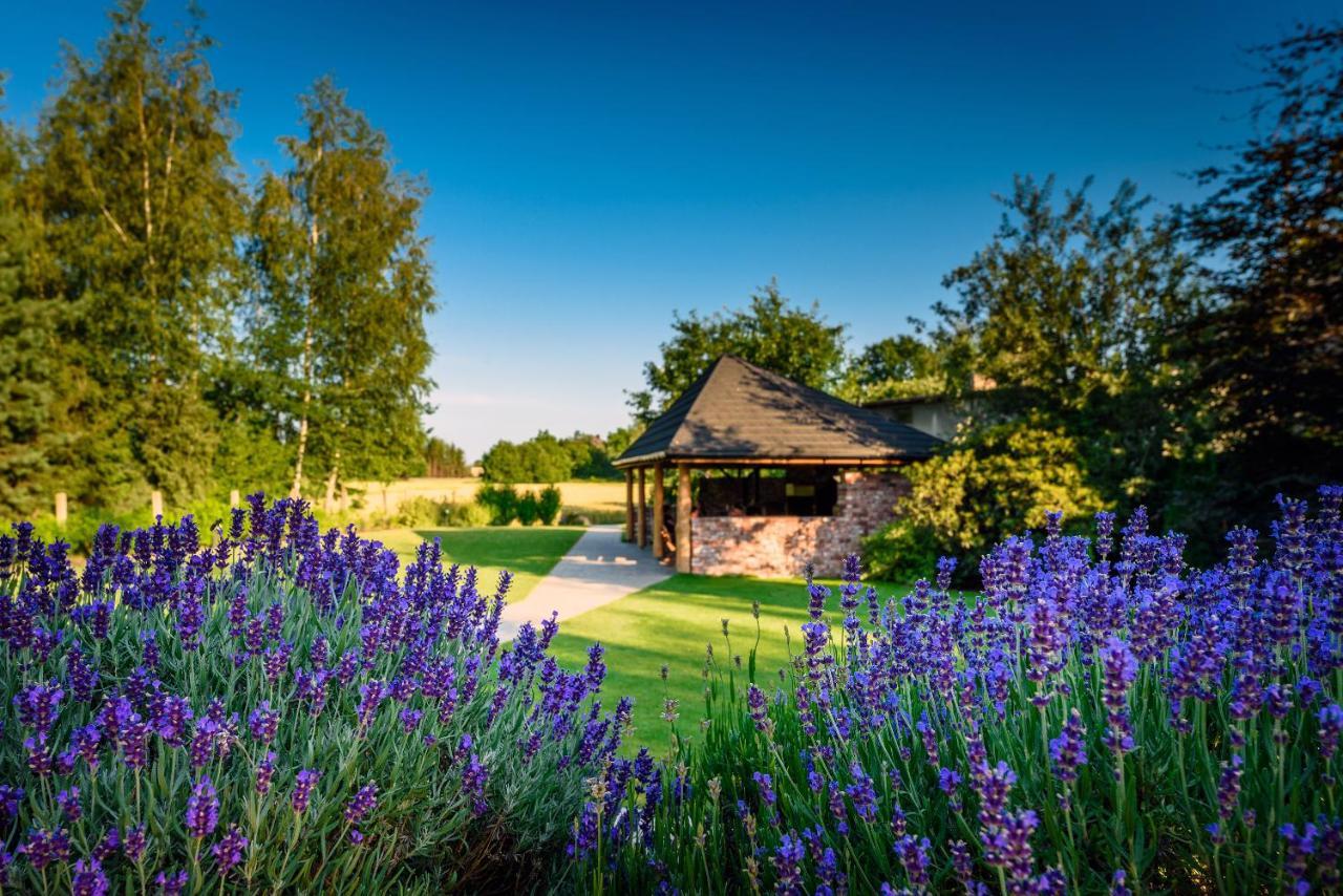 Villa Natura Zator Przeciszow Extérieur photo