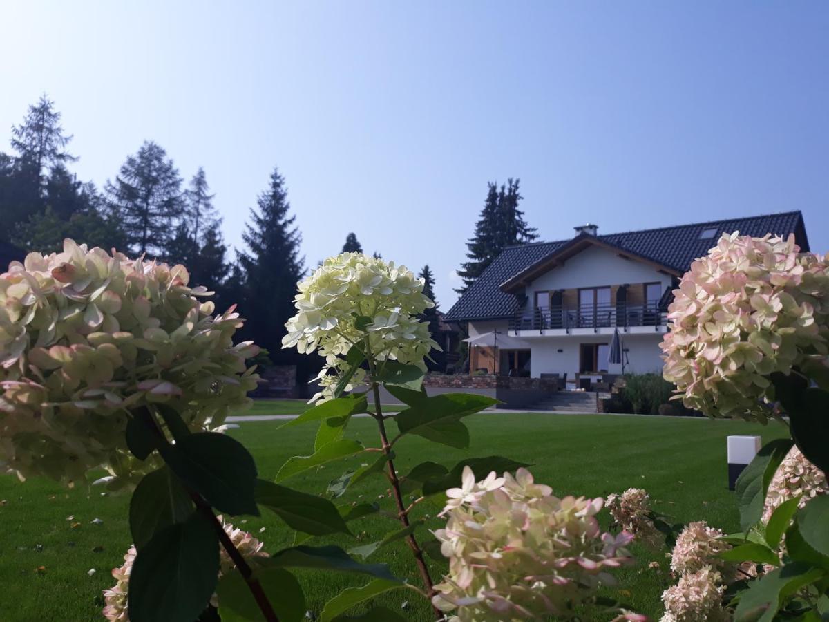 Villa Natura Zator Przeciszow Extérieur photo